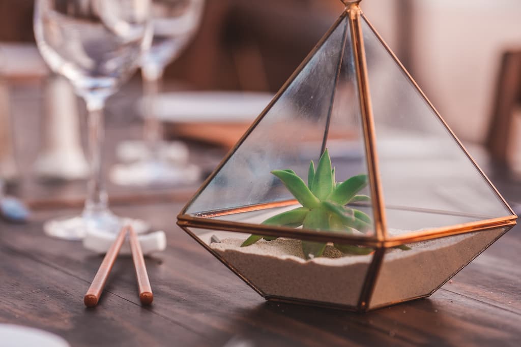 well-kept succulent in glass pyramid